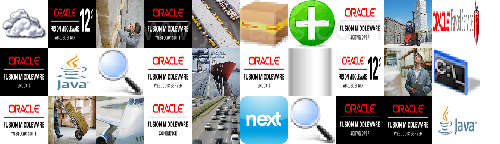 oracle parcel service